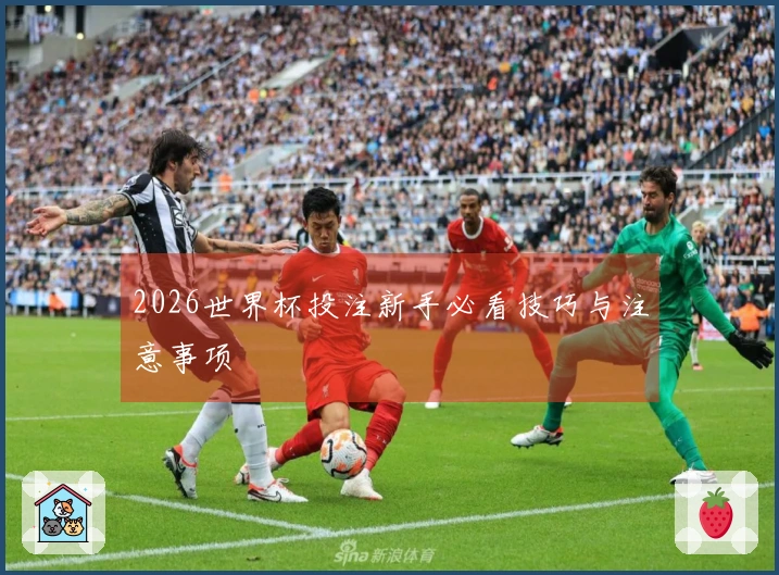 2026世界杯投注新手必看技巧与注意事项