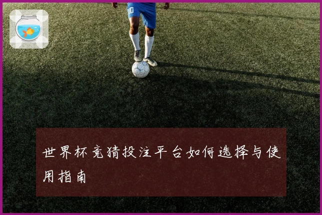 世界杯竞猜投注平台如何选择与使用指南