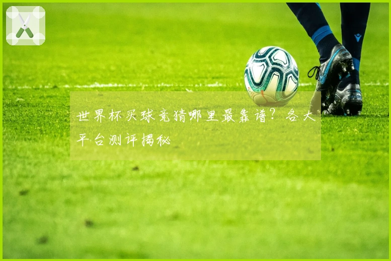 世界杯买球竞猜哪里最靠谱？各大平台测评揭秘