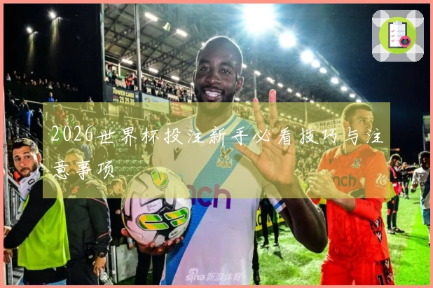 2026世界杯投注新手必看技巧与注意事项
