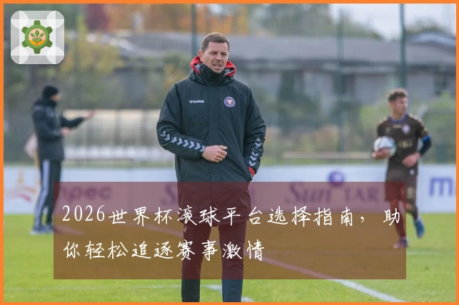 2026世界杯滚球平台选择指南，助你轻松追逐赛事激情